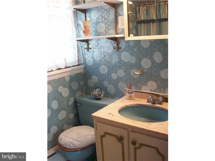 141 Mill Road Havertown, PA 19083 - Photo 18 of 19 Bathroom