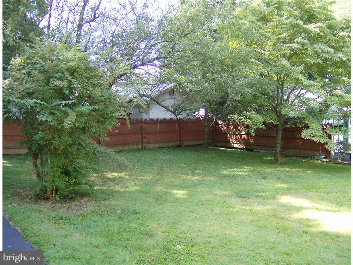 141 Mill Road Havertown, PA 19083 - Photo 5 of 19 Back Yard