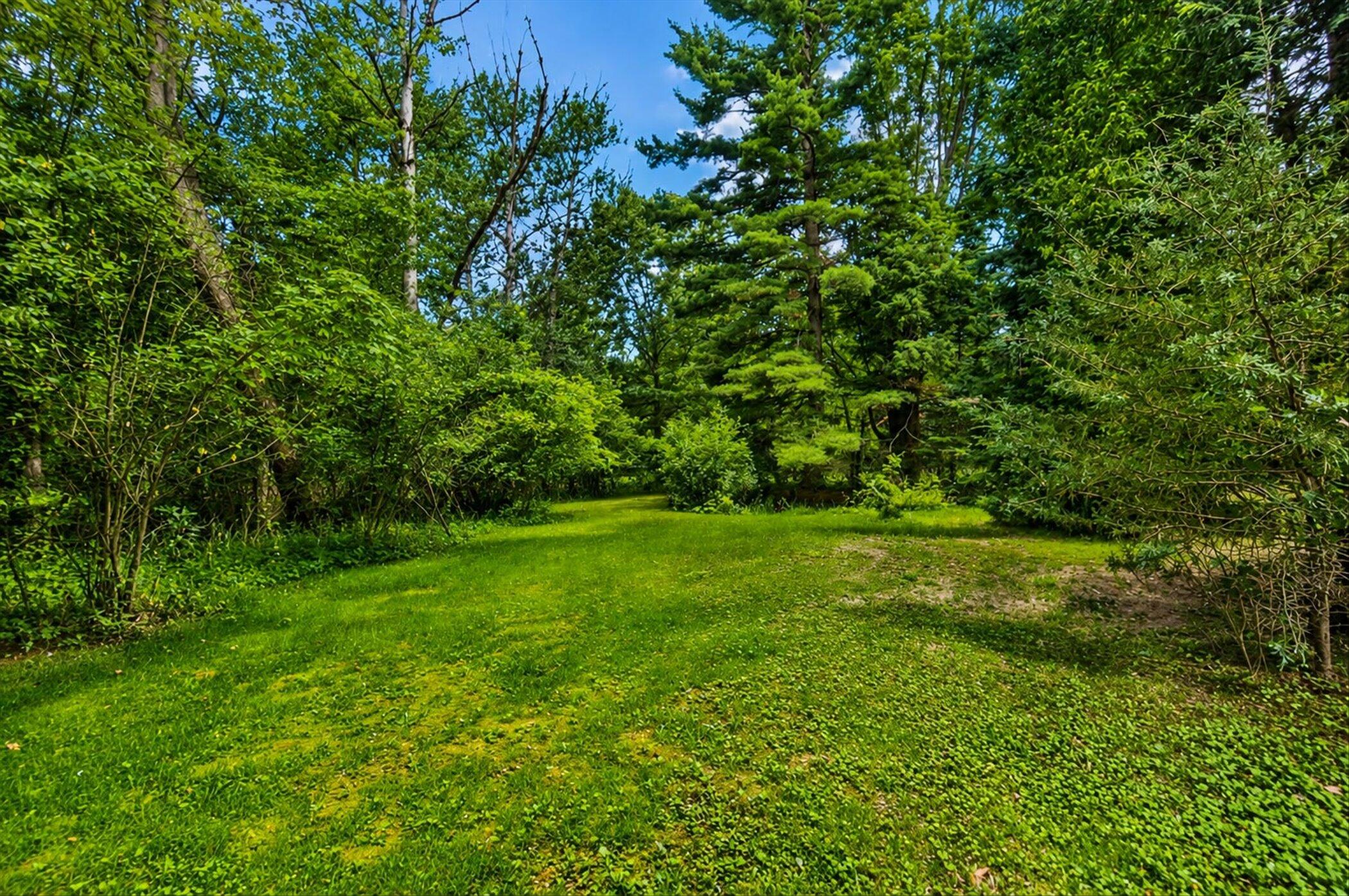6109 Brooklyn Road Jackson, MI 49201 - Photo 25 of 25 25-6109-Brooklyn-Rd-WindowStill-Photogra