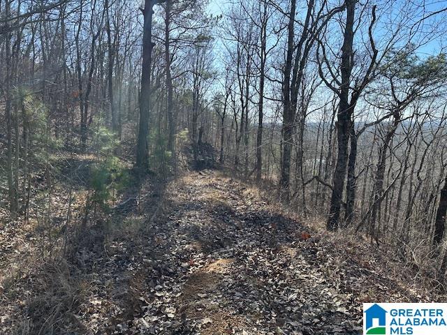 1065 Flynt Ridge Road Leeds, AL 35094 - Photo 6 of 9