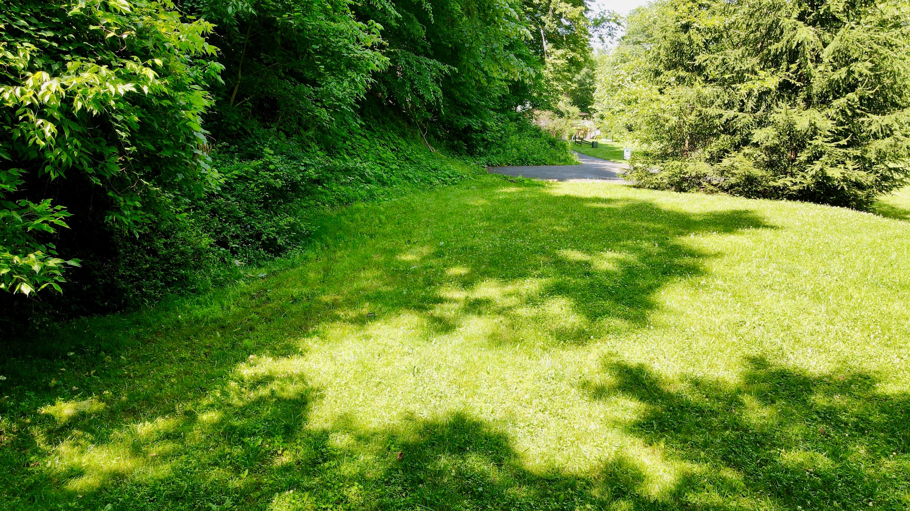 557 Fox Run Road Caldwell, WV 24925 - Photo 8 of 20 Gallery Image 8