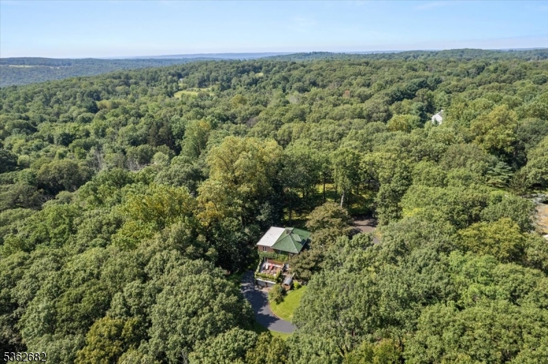 761 Backhus Estate Road Glen Gardner, NJ 08826 - Photo 45 of 48