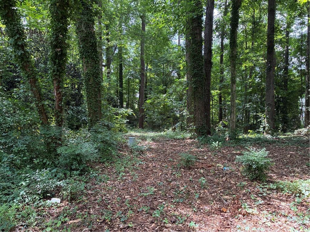 2386 Young Road Stone Mountain, GA 30088 - Photo 7 of 30