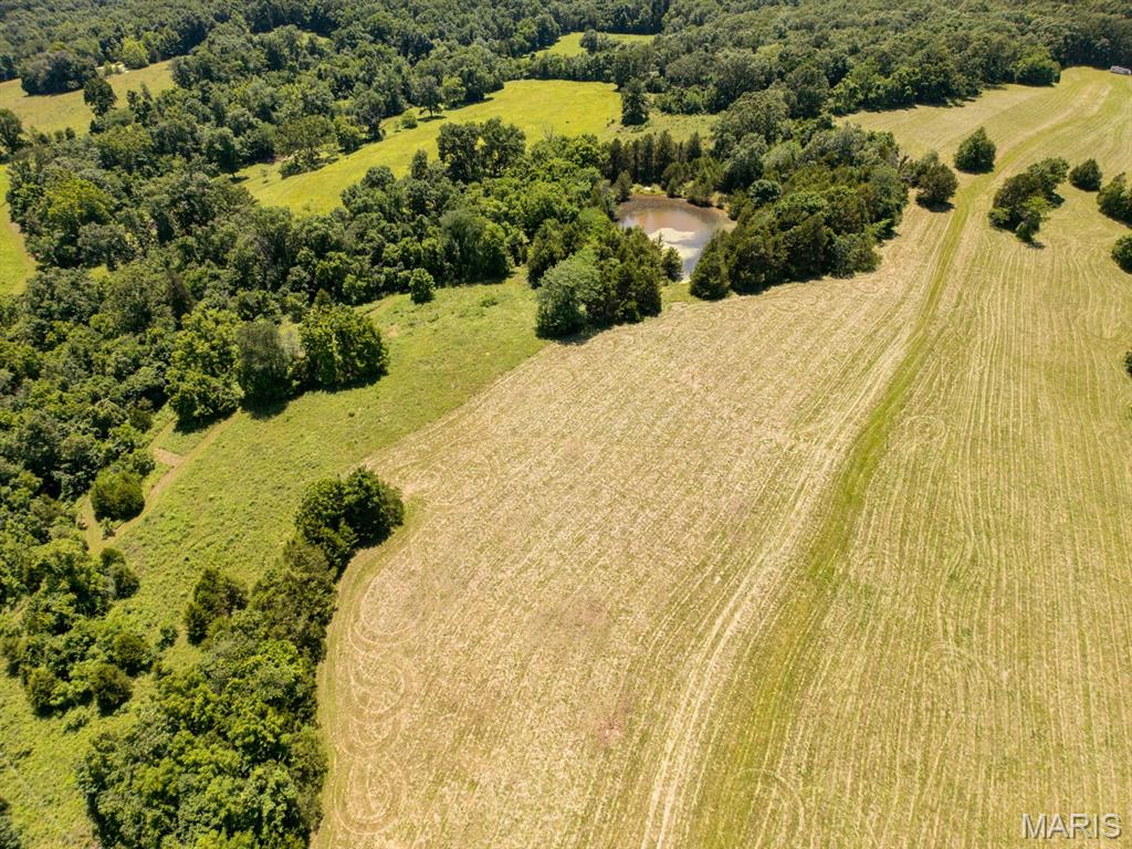 68 Dillard Mill Road Davisville, MO 65456 - Photo 54 of 64