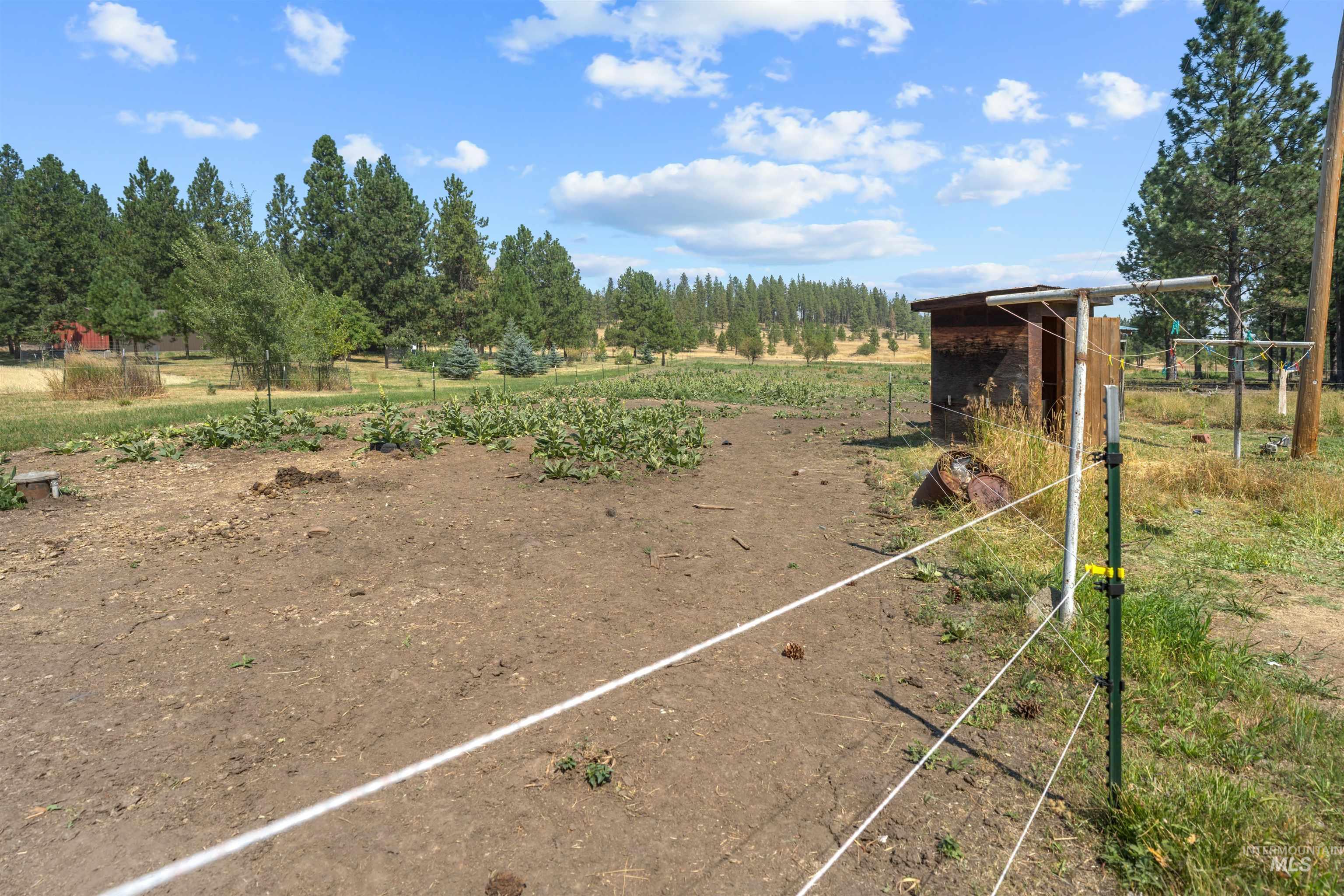 1910 East Mountain Road Anatone, WA 99401 - Photo 30 of 41 Expansive undeveloped land with an electric fence, a small shed, and mature trees