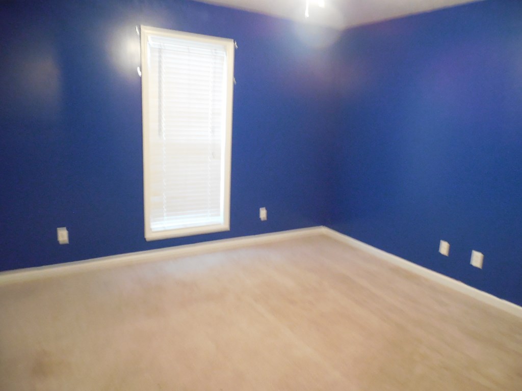 570 Ginn Lake Road Ellerslie, GA 31807 - Photo 11 of 14 Gallery Image 11