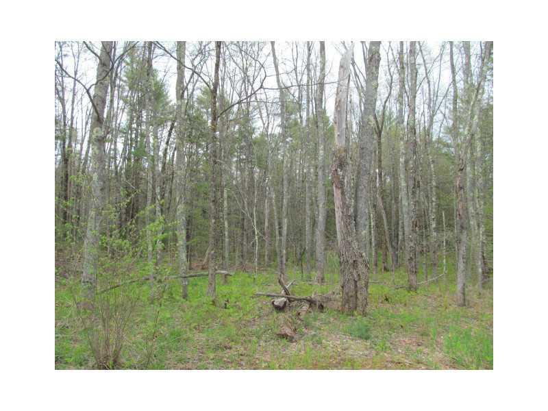 Lot 60 Chick Road Lebanon, ME 04027 - Photo 6 of 6 Land.