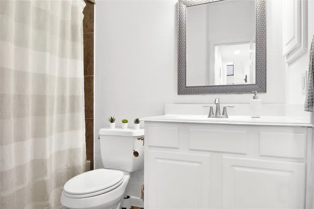 a bathroom with a sink a toilet a mirror and shower curtain