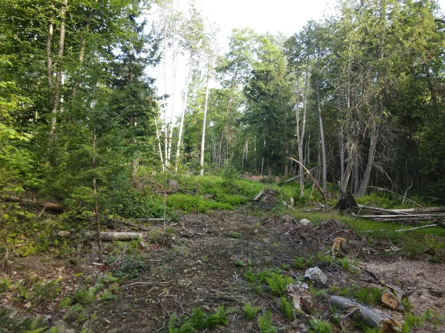 $46,500 | Lot 7 Oak Pond Road, Canaan, ME 04924
