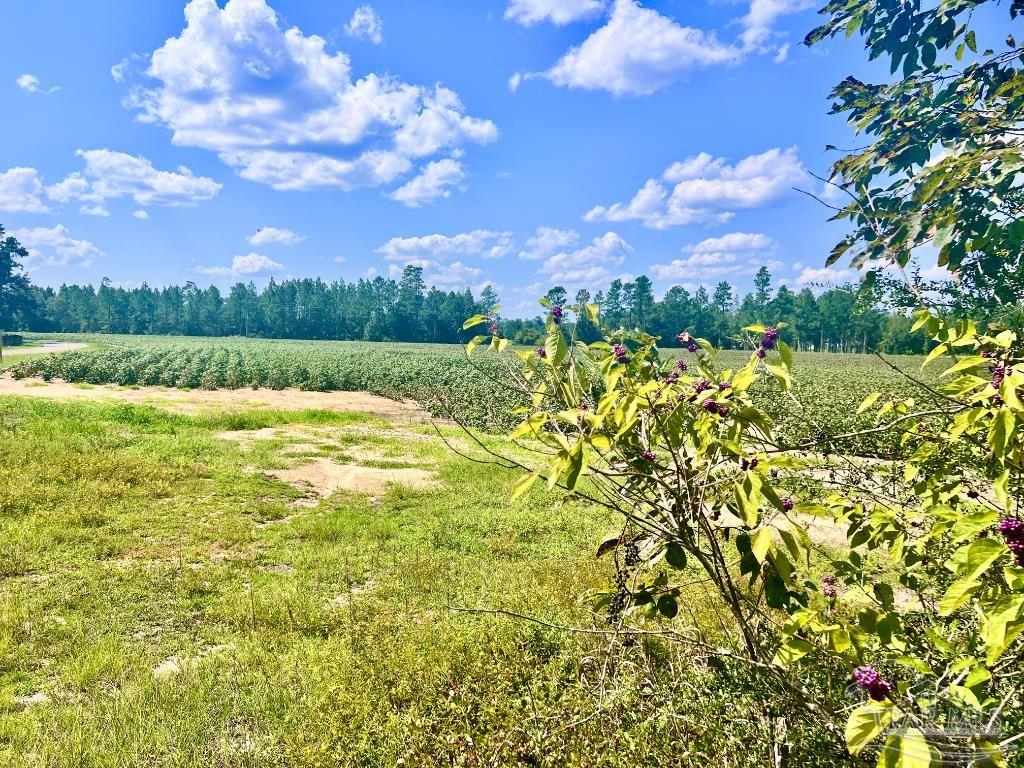 Lot 8 Sid Hayes Road Jay, FL 32565 - Photo 1 of 18