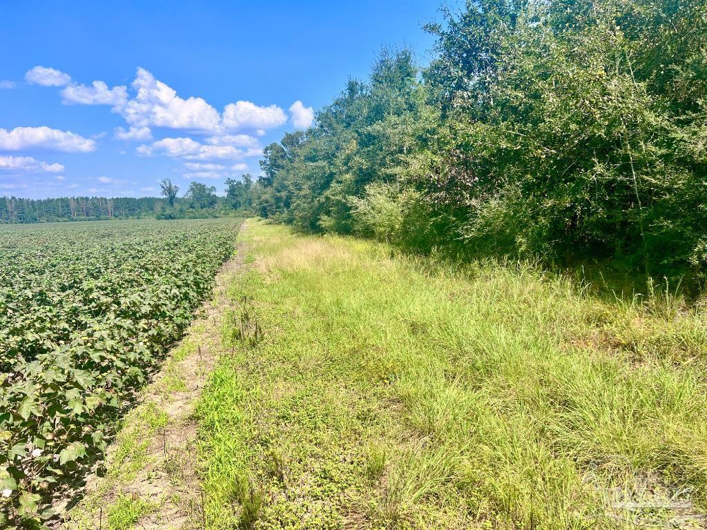 Lot 8 Sid Hayes Road Jay, FL 32565 - Photo 13 of 18