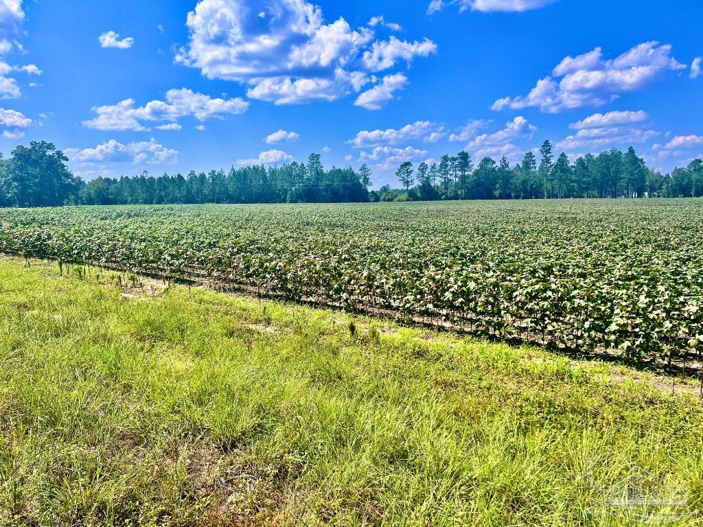 Lot 8 Sid Hayes Road Jay, FL 32565 - Photo 14 of 18