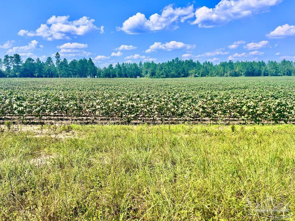 Lot 8 Sid Hayes Road Jay, FL 32565 - Photo 15 of 18