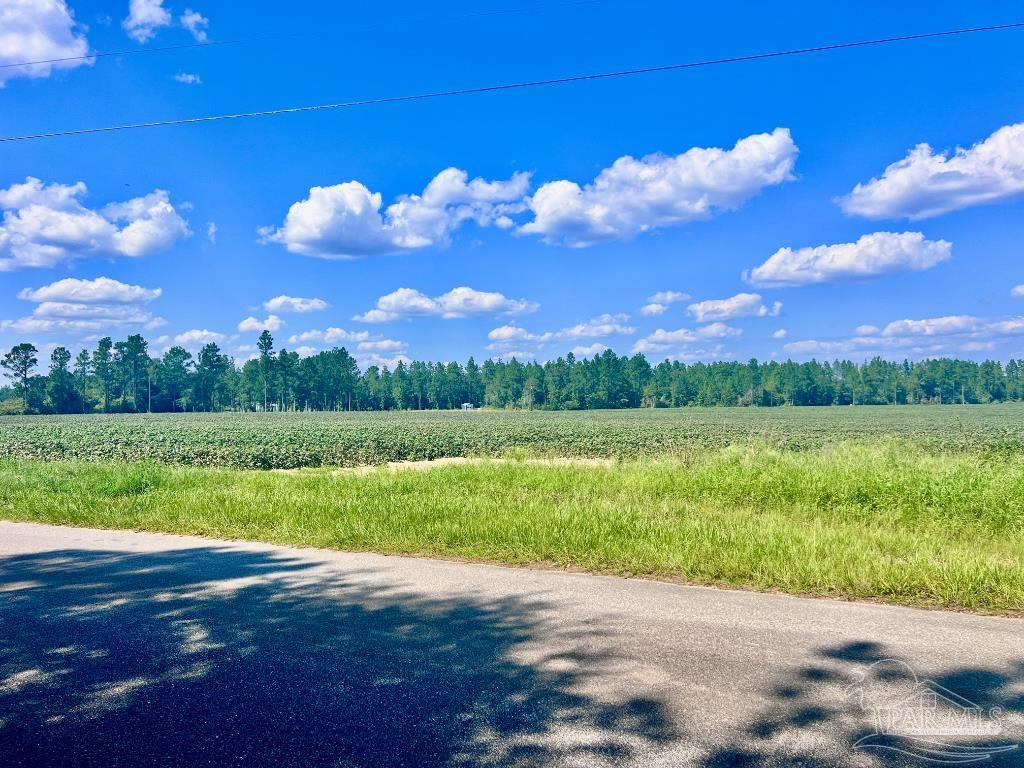Lot 8 Sid Hayes Road Jay, FL 32565 - Photo 16 of 18
