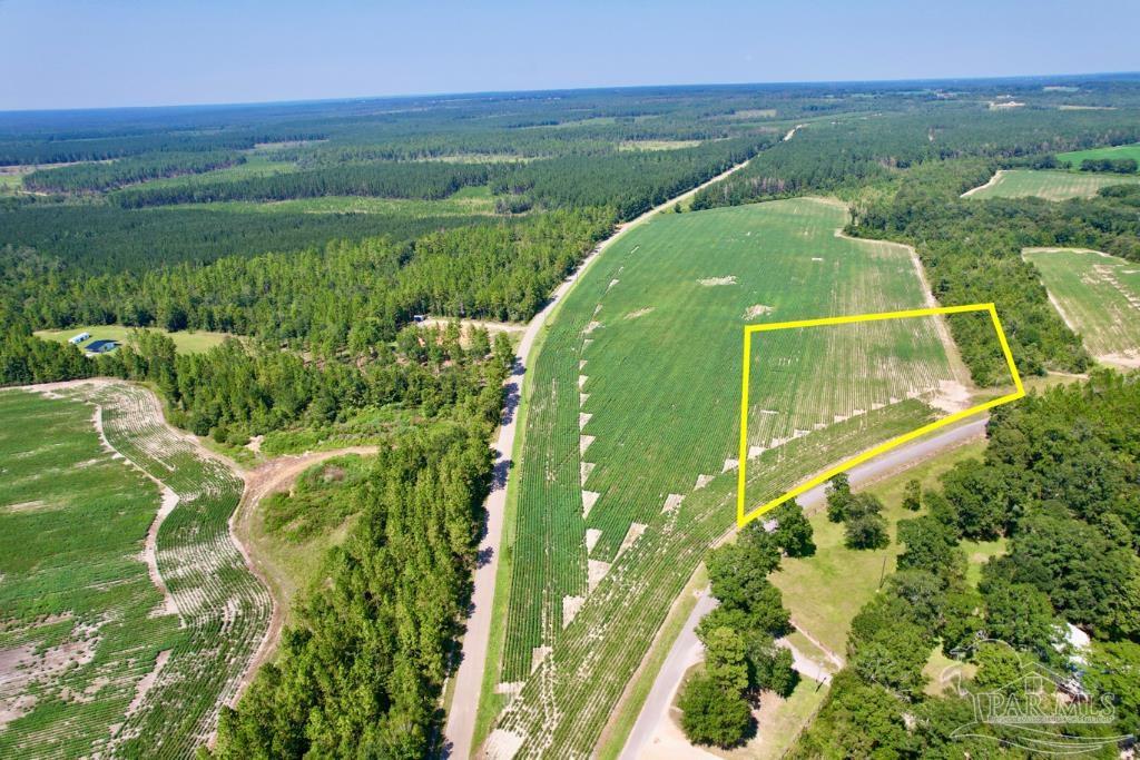 Lot 8 Sid Hayes Road Jay, FL 32565 - Photo 2 of 18