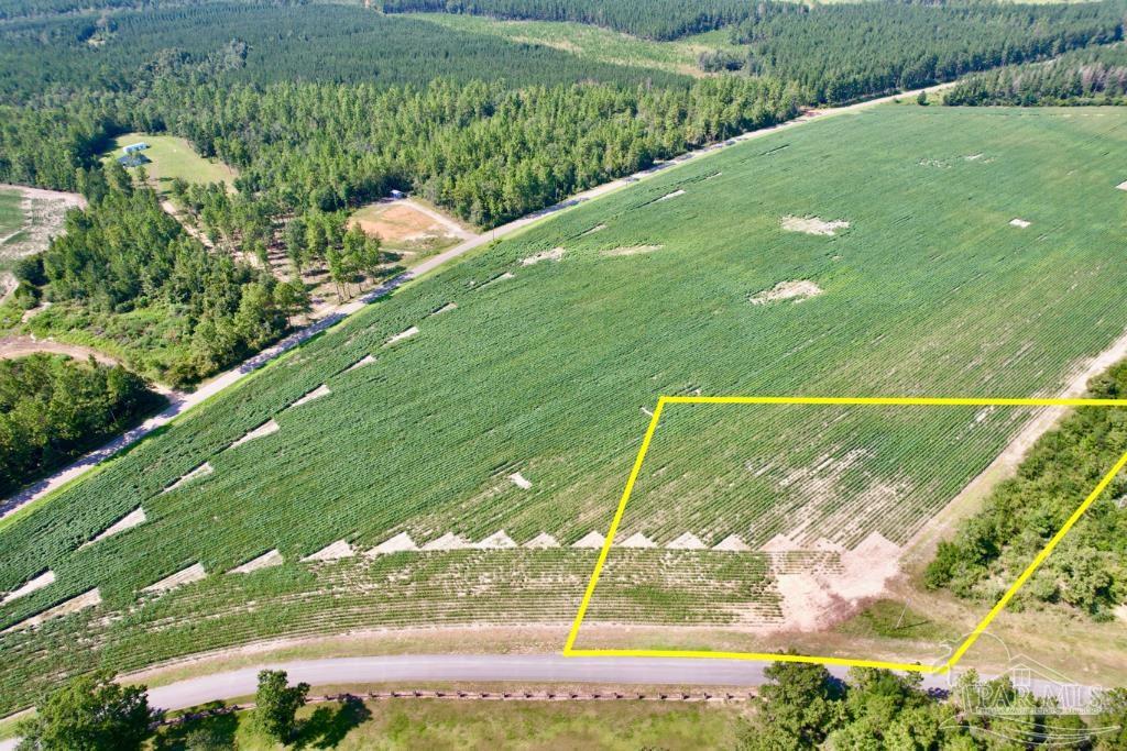 Lot 8 Sid Hayes Road Jay, FL 32565 - Photo 5 of 18