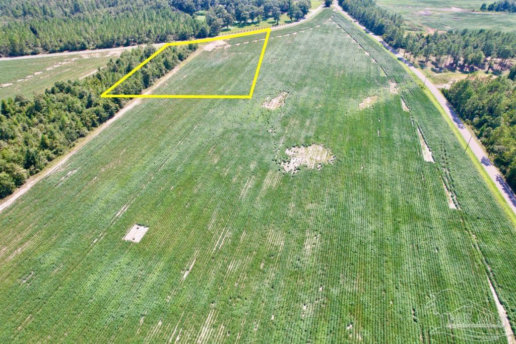 Lot 8 Sid Hayes Road Jay, FL 32565 - Photo 6 of 18