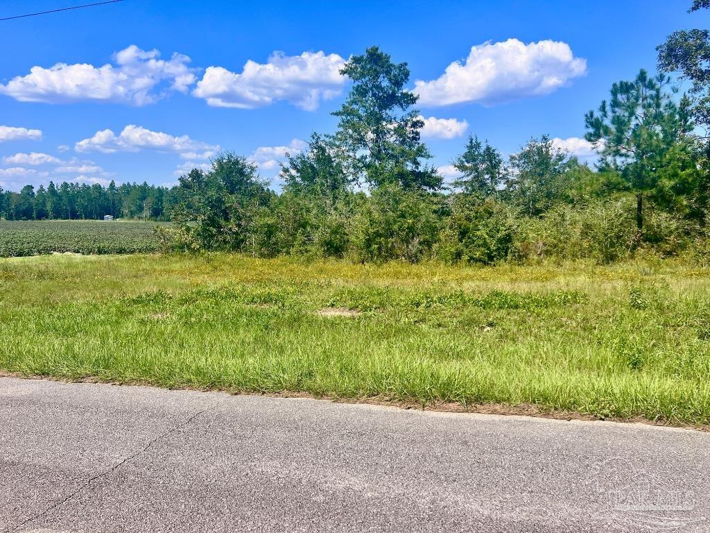 Lot 8 Sid Hayes Road Jay, FL 32565 - Photo 8 of 18