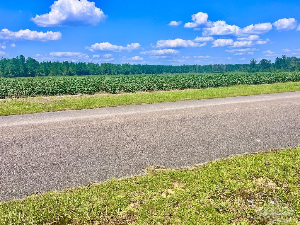 Lot 8 Sid Hayes Road Jay, FL 32565 - Photo 9 of 18
