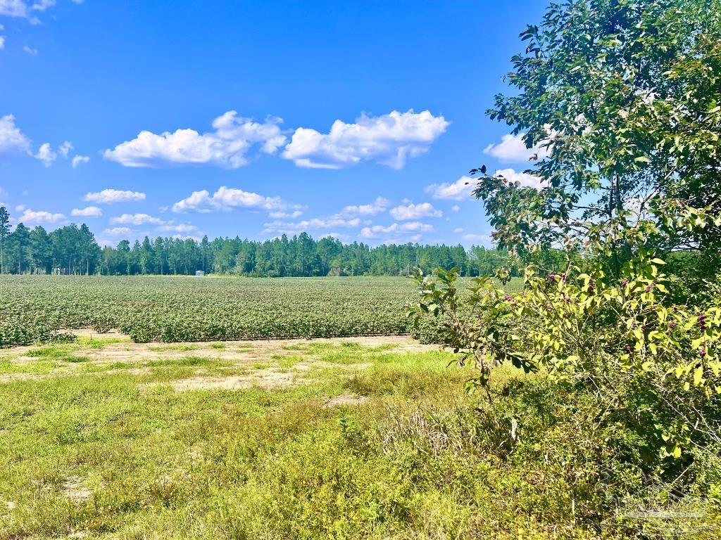Lot 8 Sid Hayes Road Jay, FL 32565 - Photo 10 of 18