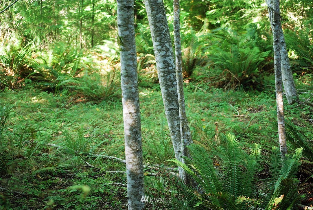 -xx East Quilcene Road Quilcene, WA 98376 - Photo 2 of 3