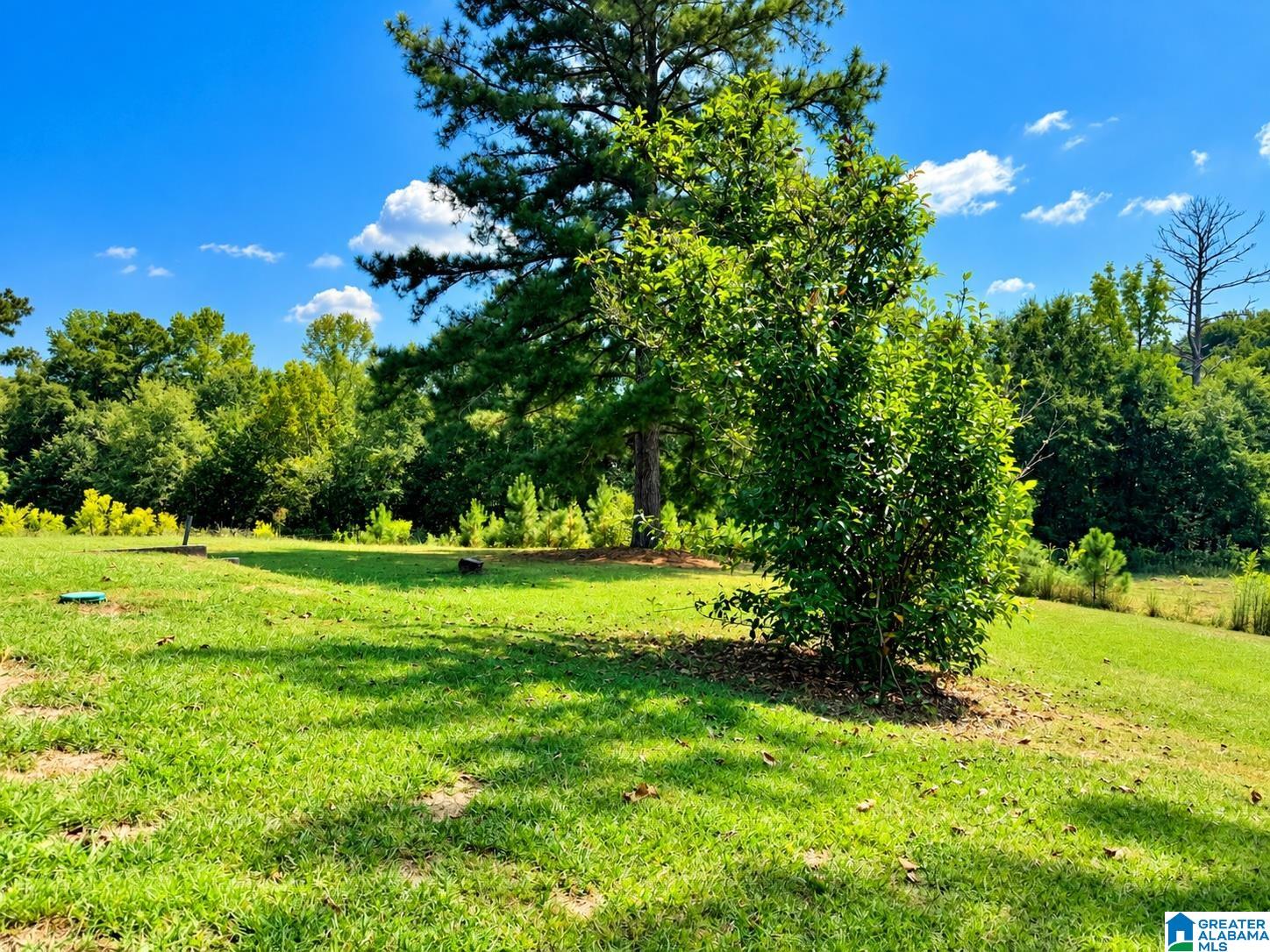 554 Chappell Road Piedmont, AL 36272 - Photo 48 of 72 Gallery Image 48