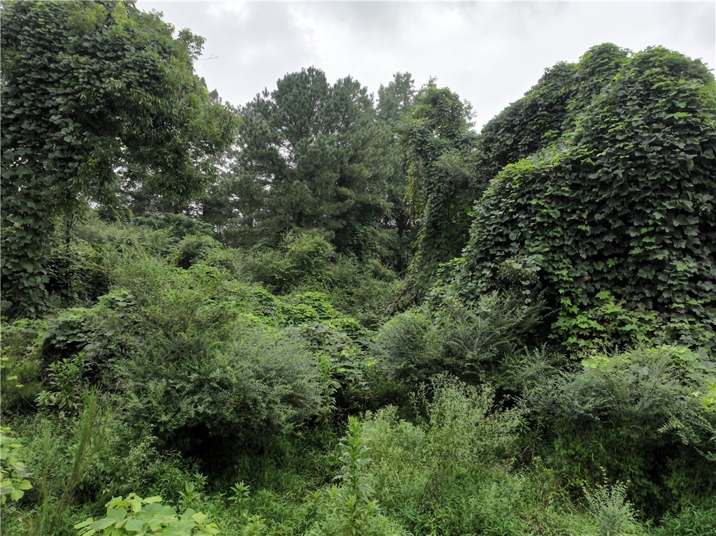 135 Herring Road Fair Play, SC 29643 - Photo 2 of 31