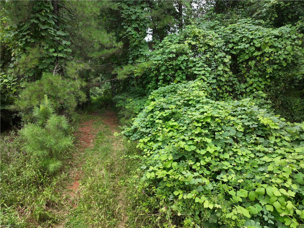 135 Herring Road Fair Play, SC 29643 - Photo 25 of 31