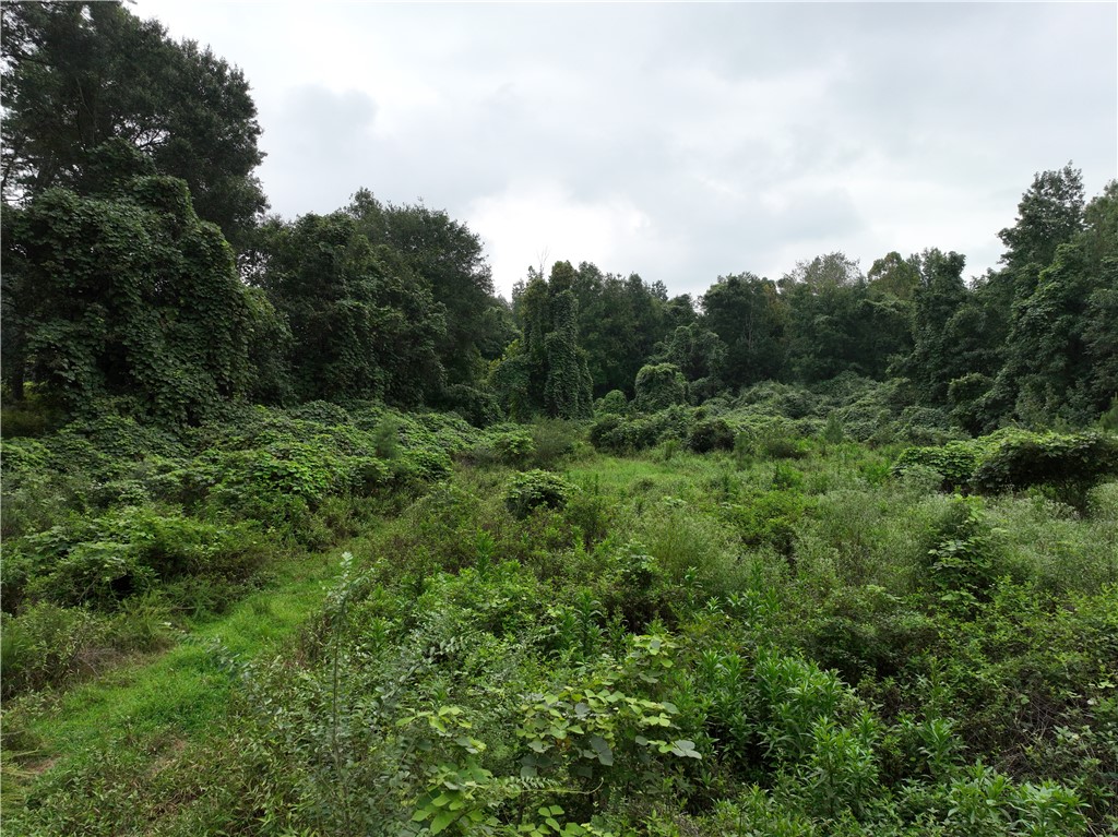 135 Herring Road Fair Play, SC 29643 - Photo 27 of 31