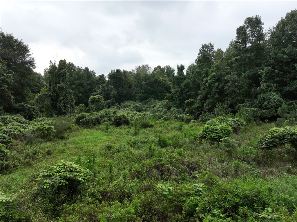 135 Herring Road Fair Play, SC 29643 - Photo 29 of 31