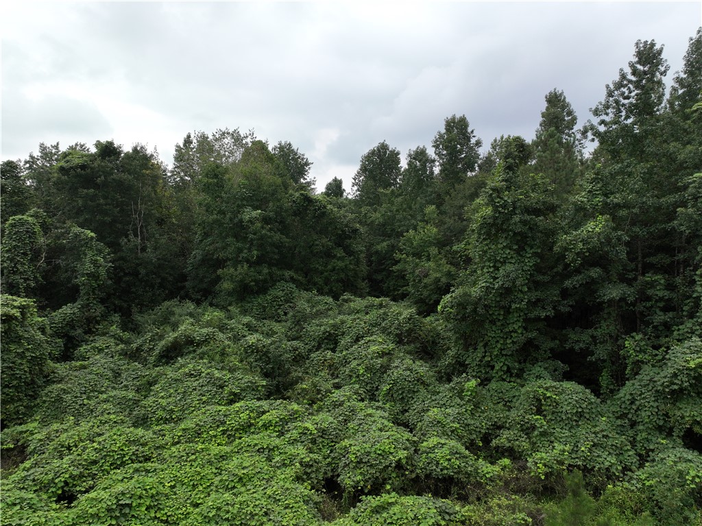 135 Herring Road Fair Play, SC 29643 - Photo 30 of 31