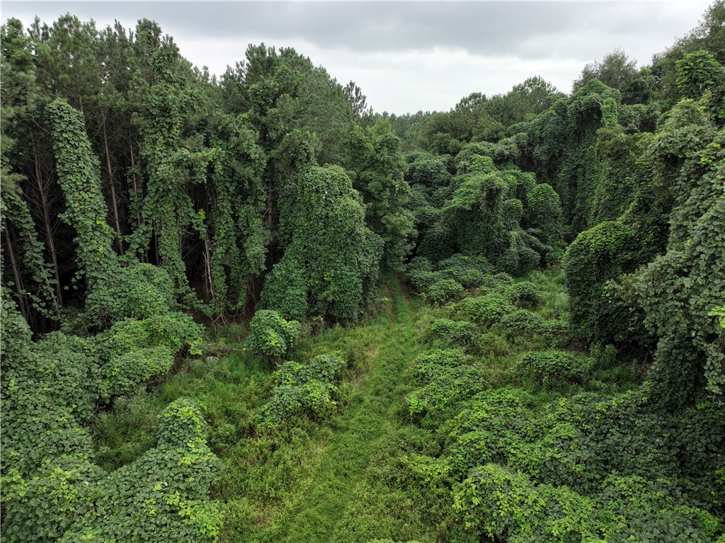 135 Herring Road Fair Play, SC 29643 - Photo 4 of 31