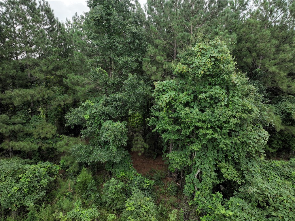 135 Herring Road Fair Play, SC 29643 - Photo 7 of 31