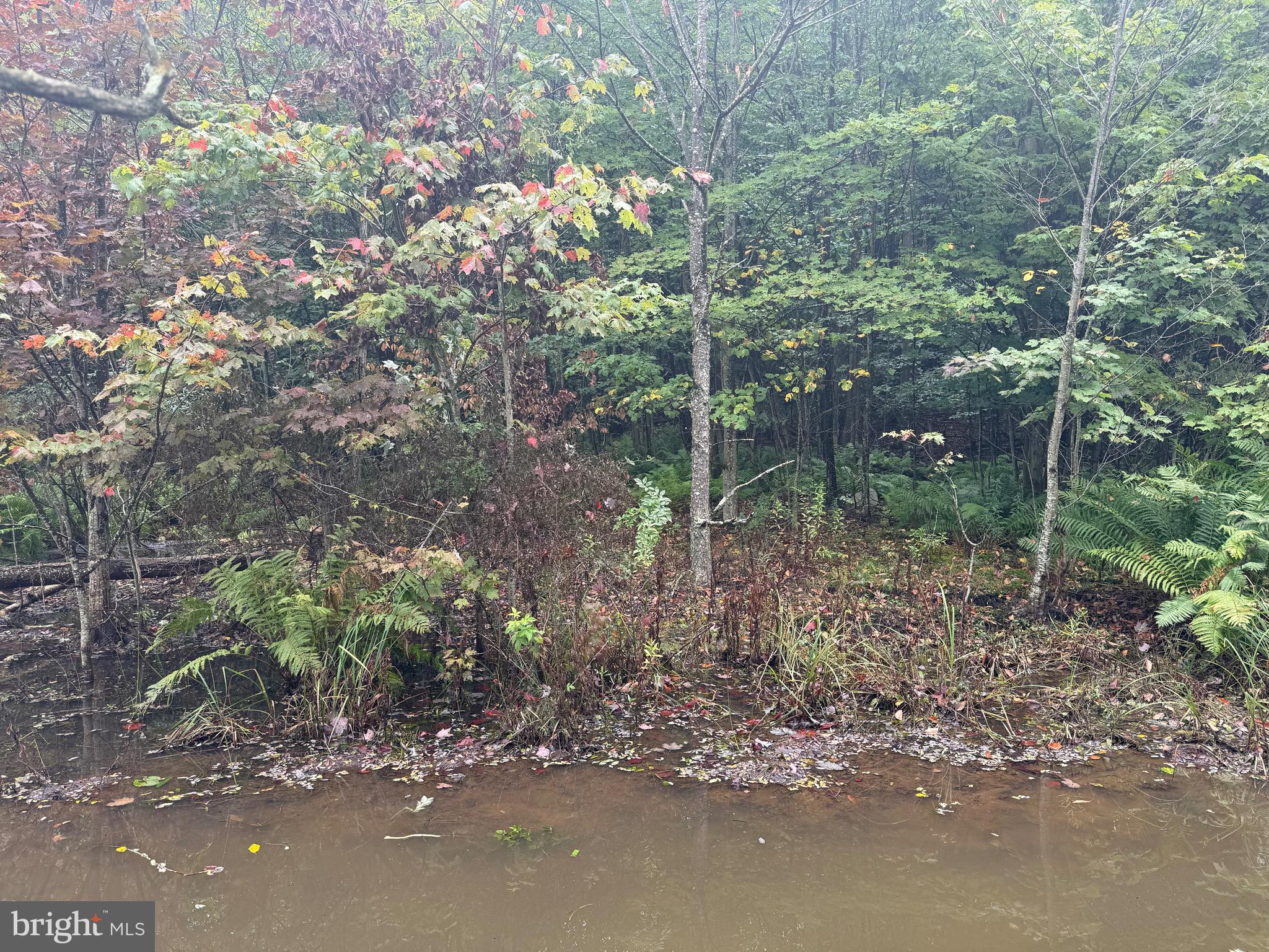 0 Pinnacle Road Keyser, WV 26726 - Photo 42 of 61
