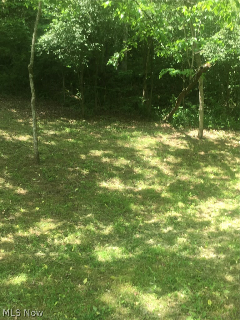 76 Cow Run Road Elizabeth, WV 26143 - Photo 11 of 12 Gallery Image 11