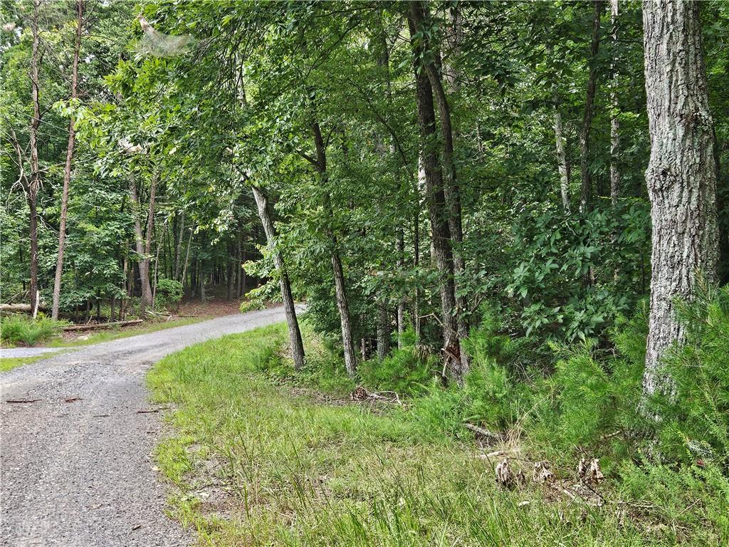 1467 Hanna Drive Ranger, GA 30734 - Photo 6 of 6 Gallery Image 6