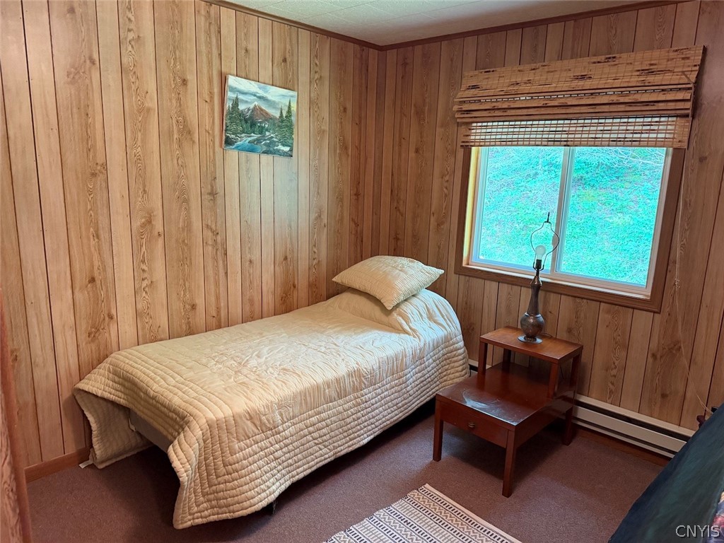 3773 Haskell Vly Vw Road Clarksville, NY 14727 - Photo 30 of 50