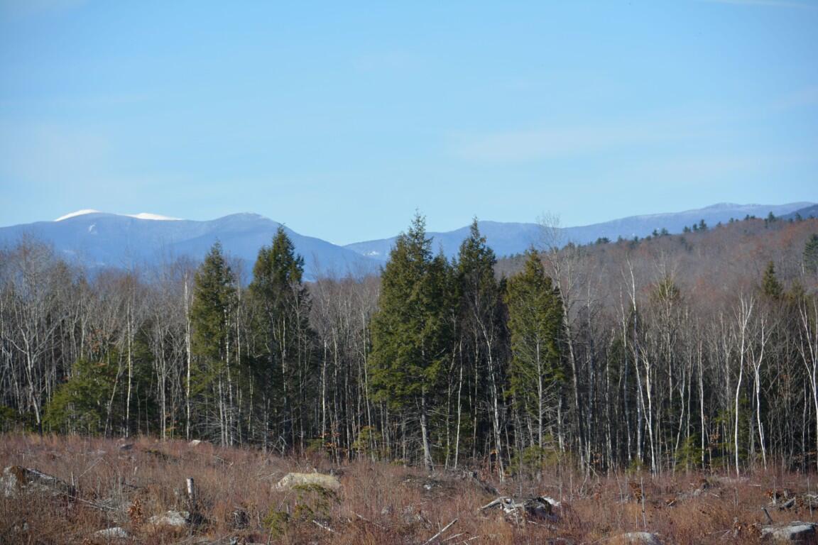 0 French Hill Road Bethel, ME 04217 - Photo 3 of 18 westerly view 2