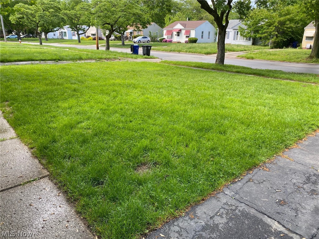 2508 Greenvale Road Cleveland, OH 44121 - Photo 16 of 16 View of yard