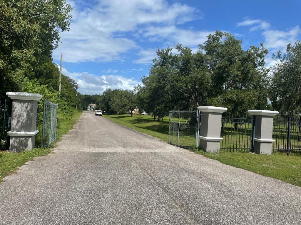 11 Trumpeter Court Odessa, FL 33556 - Photo 4 of 7 a view of a park with large trees