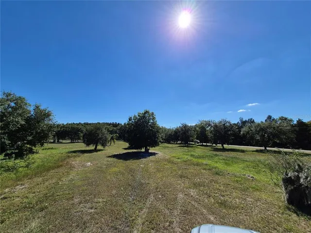 a view of a grassy area with a yard
