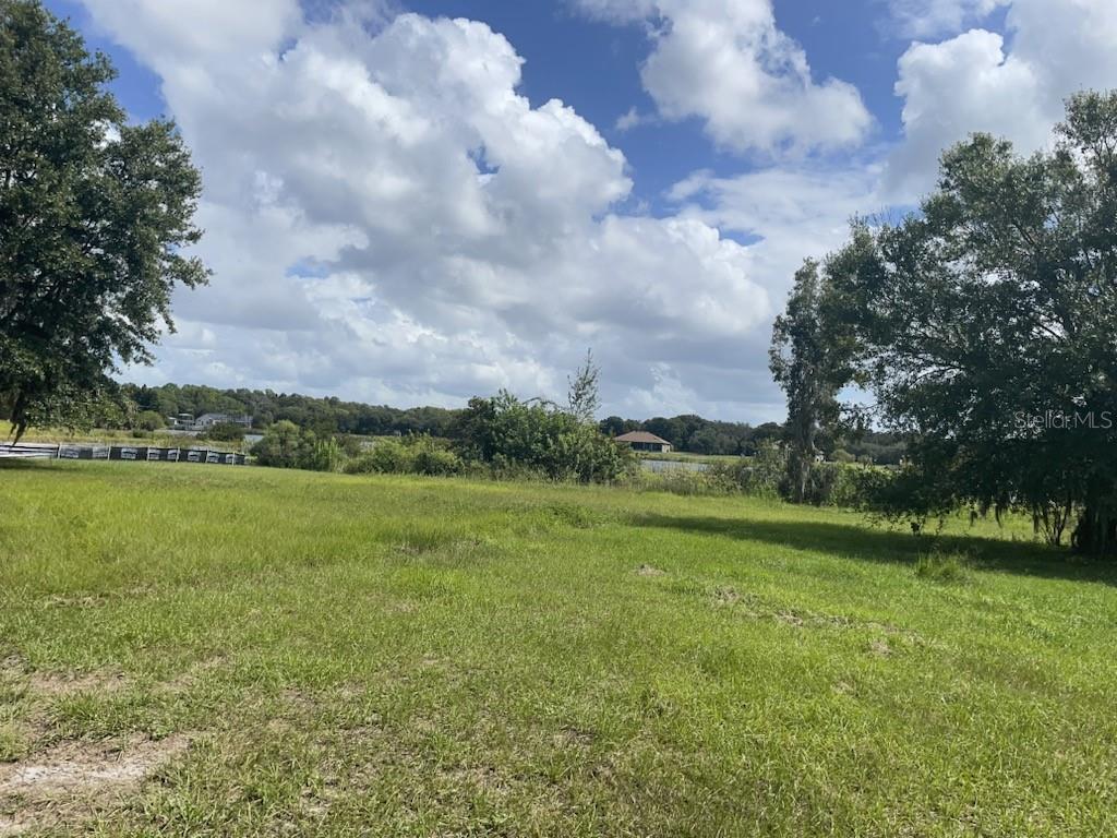 11 Trumpeter Court Odessa, FL 33556 - Photo 7 of 7 a view of a city