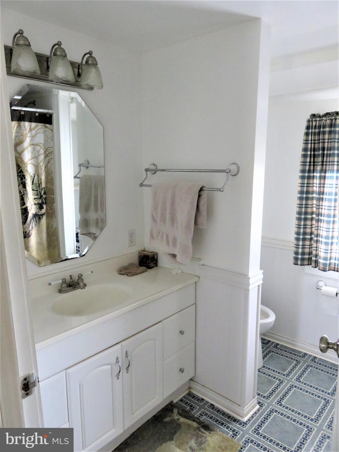 25418 Draper Road Milton, DE 19968 - Photo 15 of 29 Full bath on first floor with walk-in shower