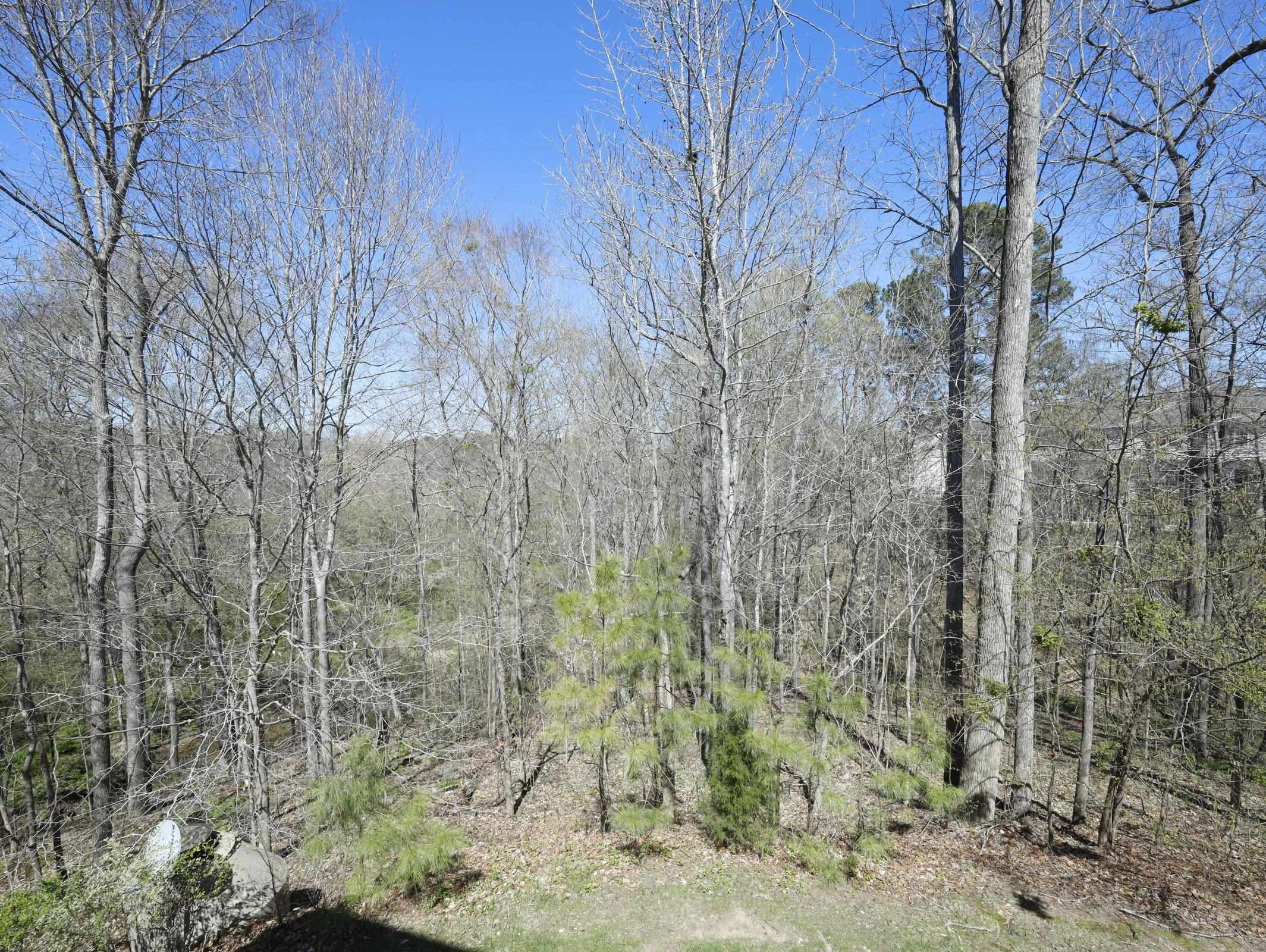 144 Cedar Elm Road Durham, NC 27713 - Photo 38 of 43 Deck View