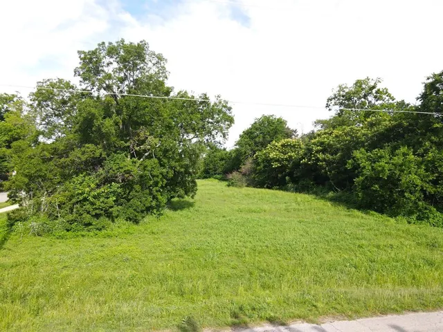a view of a yard with a tree
