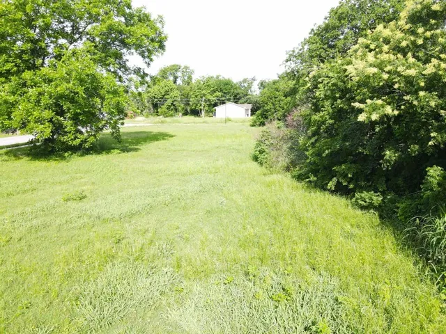 a view of yard with green space