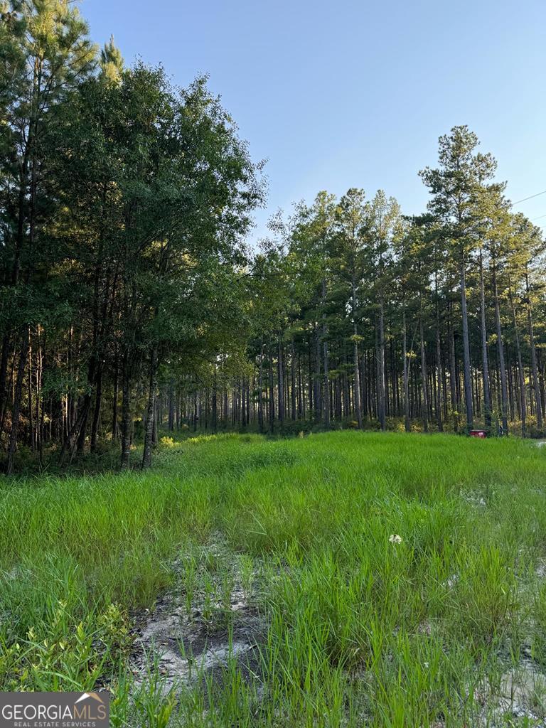 5284 Crosby Chapel Road Baxley, GA 31513 - Photo 1 of 1 Main View