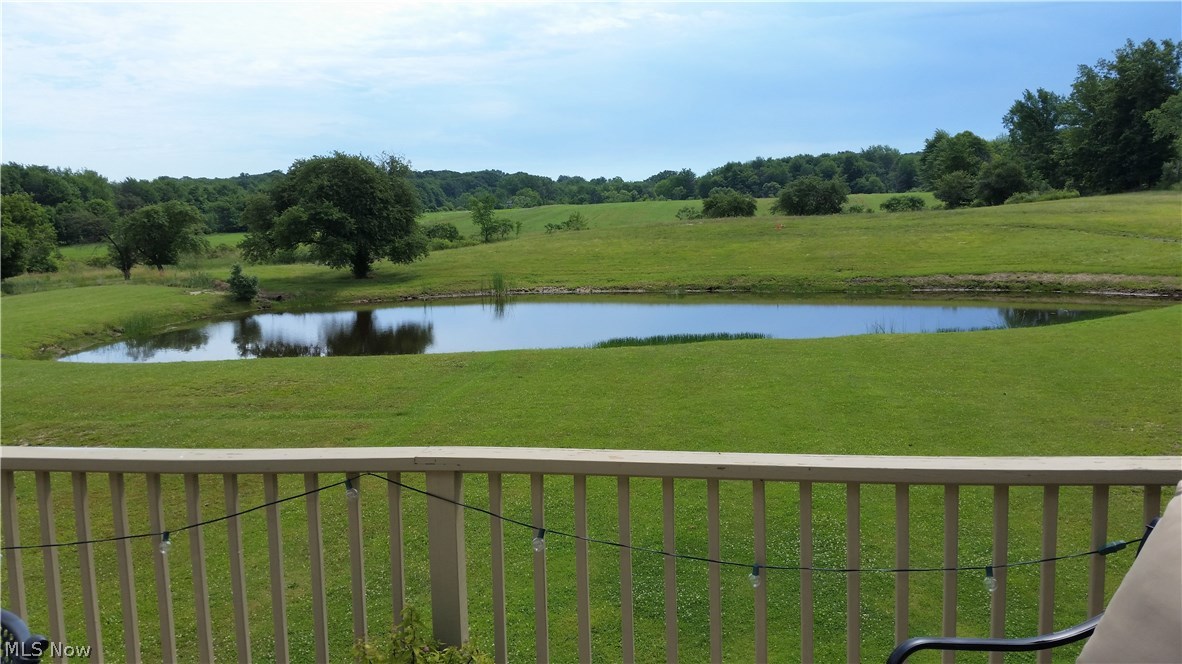 5010 Dibble Road Kingsville, OH 44048 - Photo 21 of 29 Enjoy morning coffee from the deck while watching the wildlife cross your property