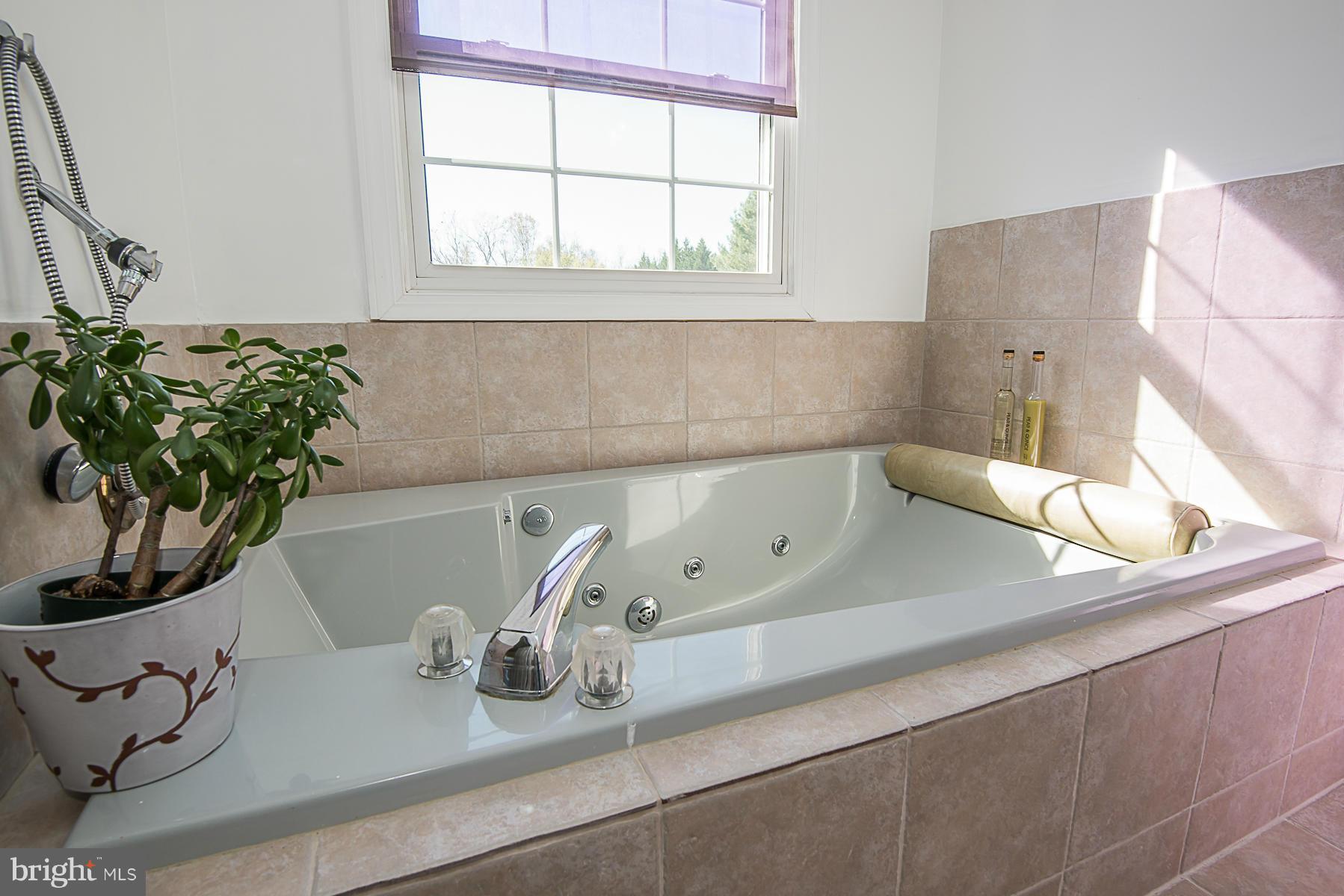 4050 Macalpine Road Ellicott City, MD 21042 - Photo 20 of 30 a close view of sink and tap