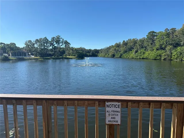 $3,000 | 525 Lakeview Drive, Oldsmar, FL 34677